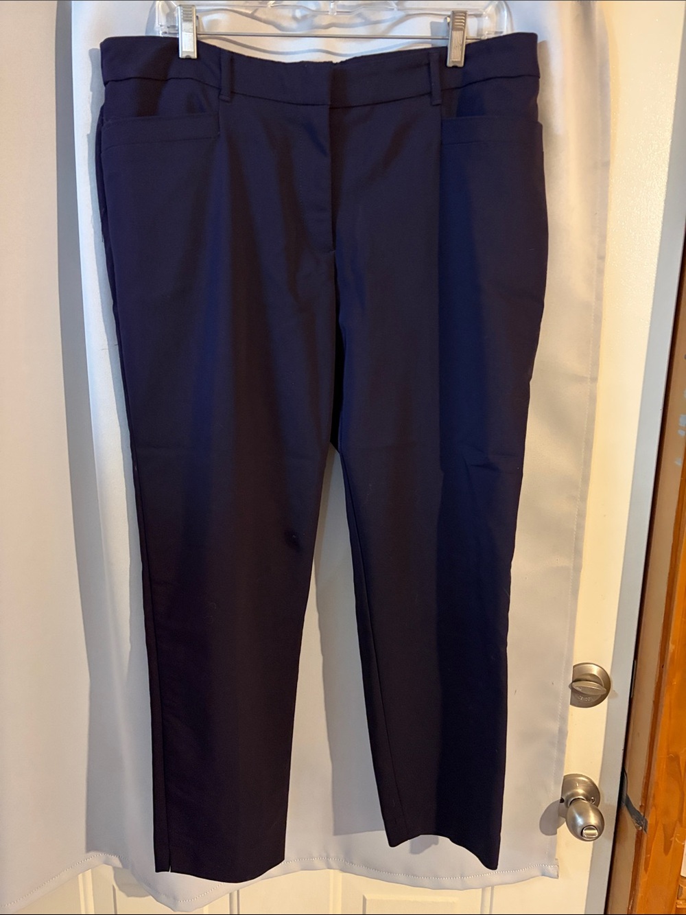 Dana Buchman Deep purple Dress Pants